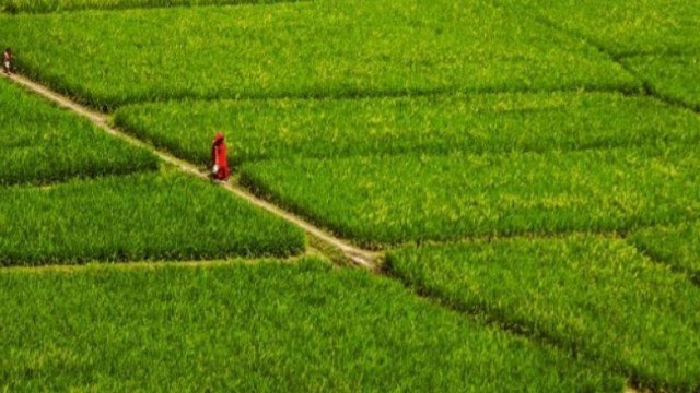 আদিলুর-নাসিরের কারাদণ্ডে ফ্রান্স ও জার্মানির বিবৃতি | বিবিধ নিউজ 