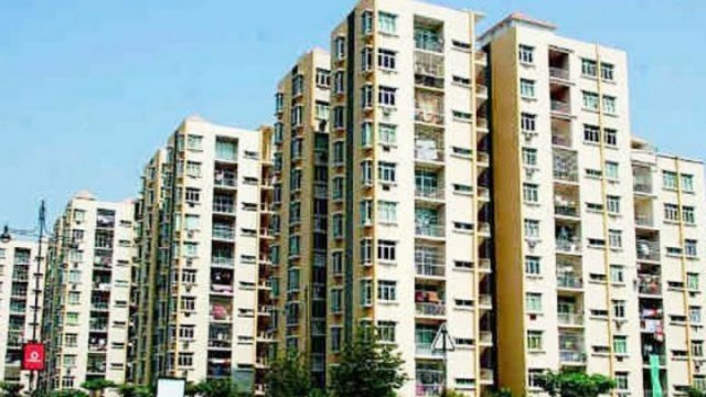 ধলাপাড়া ছমির উদ্দিন পাবলিক উচ্চ বিদ্যালয়ে পুনঃনিয়োগ বিজ্ঞপ্তি | চাকরির খবর নিউজ 