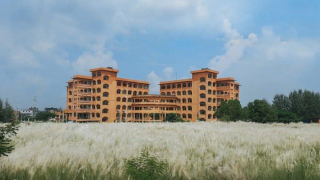 শরতের সাজে বরিশাল বিশ্ববিদ্যালয় | বিশ্ববিদ্যালয় নিউজ 