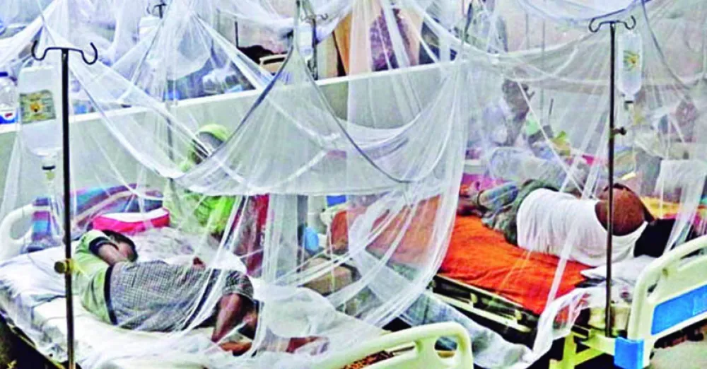 The number of dengue patients suddenly increased to 288