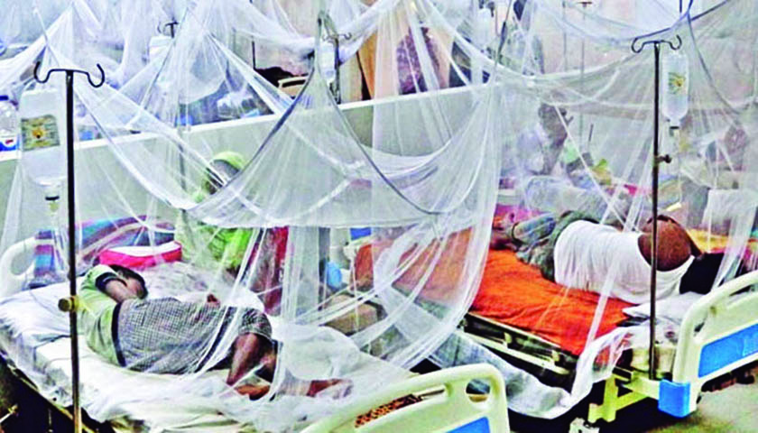 ডেঙ্গু রোগীর সংখ্যা হঠাৎ বেড়ে ২৮৮, ২৬১ জনই বরিশালের | ফিচার নিউজ 