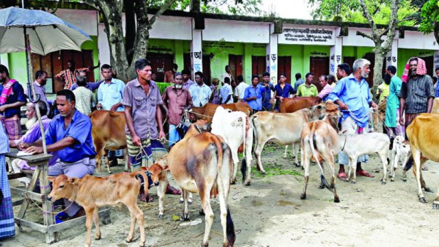 ঠাকুরগাঁওয়ে শিক্ষা কর্মকর্তা ঘেরাও | স্কুল নিউজ 