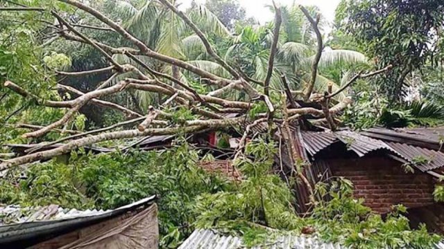 ৩৩ ঘণ্টা বিদ্যুৎ বিচ্ছিন্ন ঝালকাঠি | বিবিধ নিউজ 