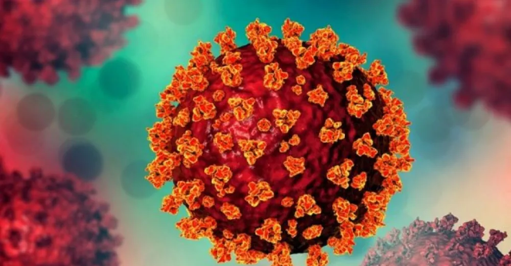 11 instructions from the directorate general of health services to prevent corona