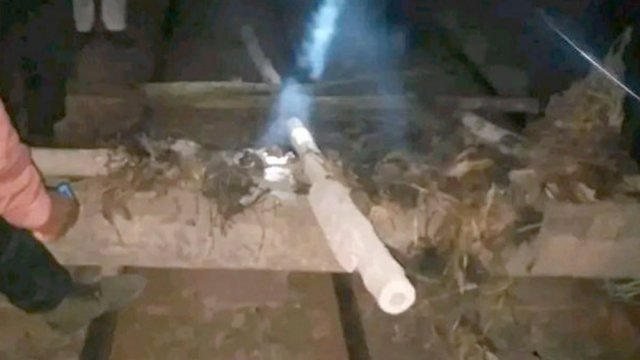 নৈপুণ্য অ্যাপে শিক্ষার্থী রেজিস্ট্রেশন-প্রমোশন ২৫ ফেব্রুয়ারির মধ্যে | স্কুল নিউজ 