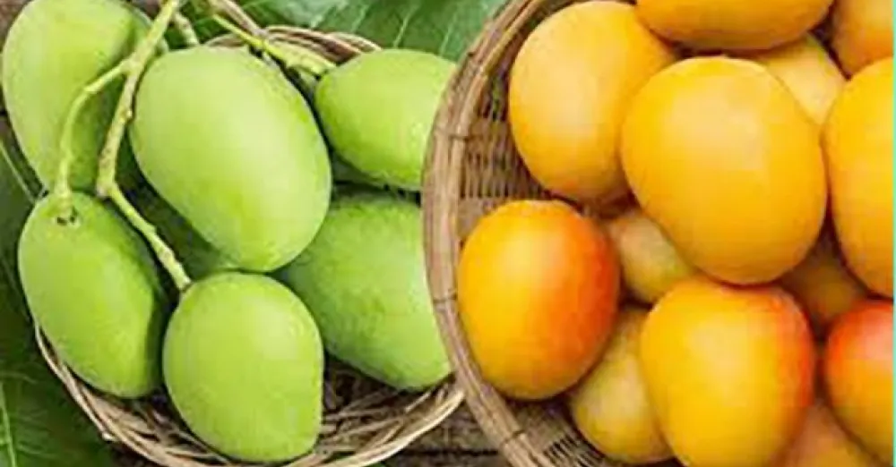 The surprising health benefits of mangoes says nutritionist