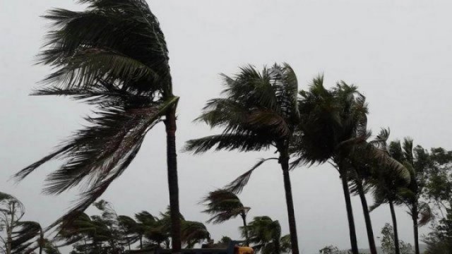 বাউবির এইচএসসি পরীক্ষা বাতিল, সাবজেক্ট ম্যাপিংয়ে ফল | পরীক্ষা নিউজ 