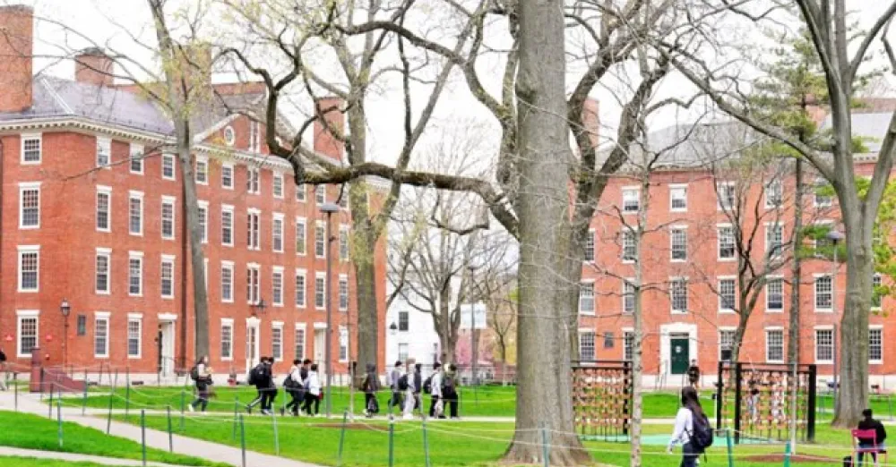 Trump to strip harvard of tax exempt status