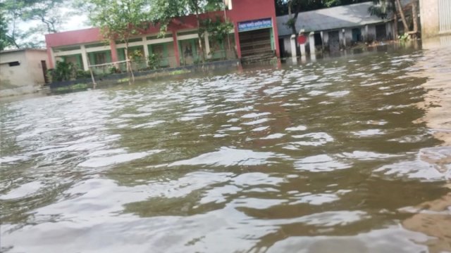 জলাবদ্ধতায় চৌদ্দগ্রামে ৮২ শিক্ষা প্রতিষ্ঠানে পাঠদান বন্ধ | মাদরাসা নিউজ 