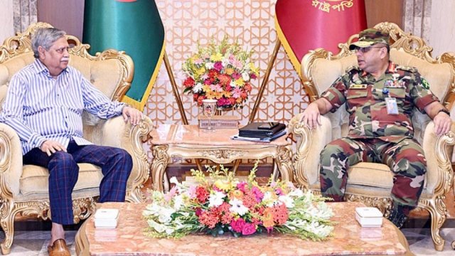 Army chief pays courtesy call on president | Miscellaneous News 