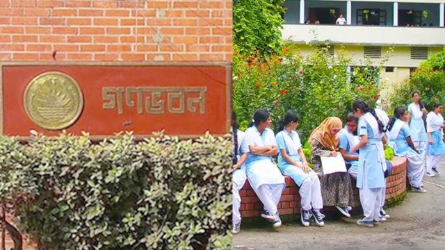গণভবন, ভিকারুননিসার বোন ও আইডিয়ালের কলোনি কোটা বাতিল | স্কুল নিউজ 