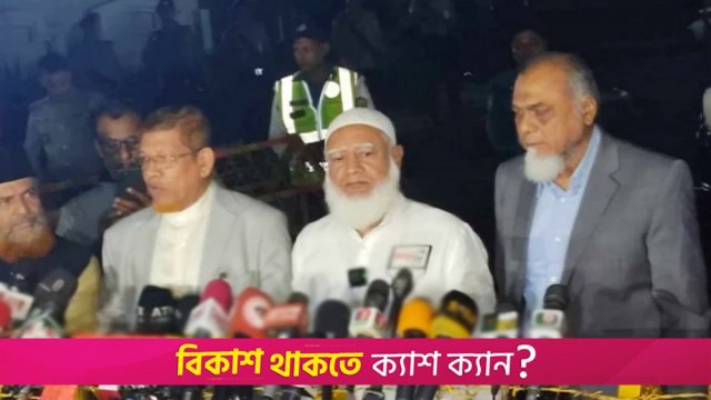 জাতীয় ঐক্য তৈরিতে বিএনপির দাবির সঙ্গে একমত জামায়াত | বিবিধ নিউজ 