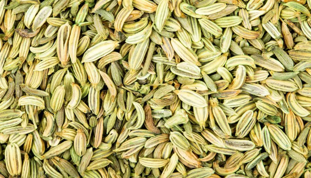 The right way to eat fennel to relieve stomach discomfort