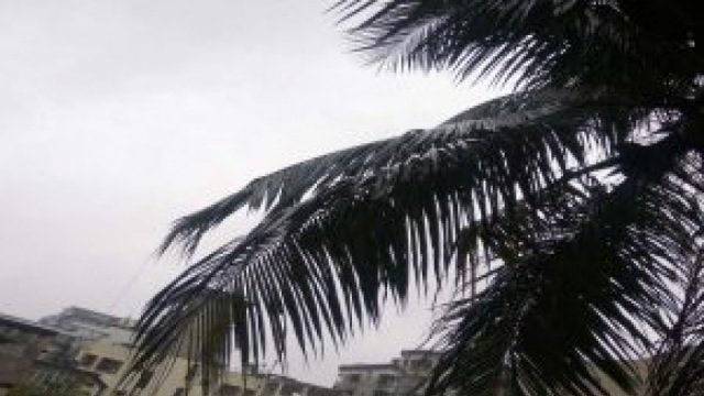 বৃষ্টি বাড়তে পারে বুধবার থেকে | বিবিধ নিউজ 