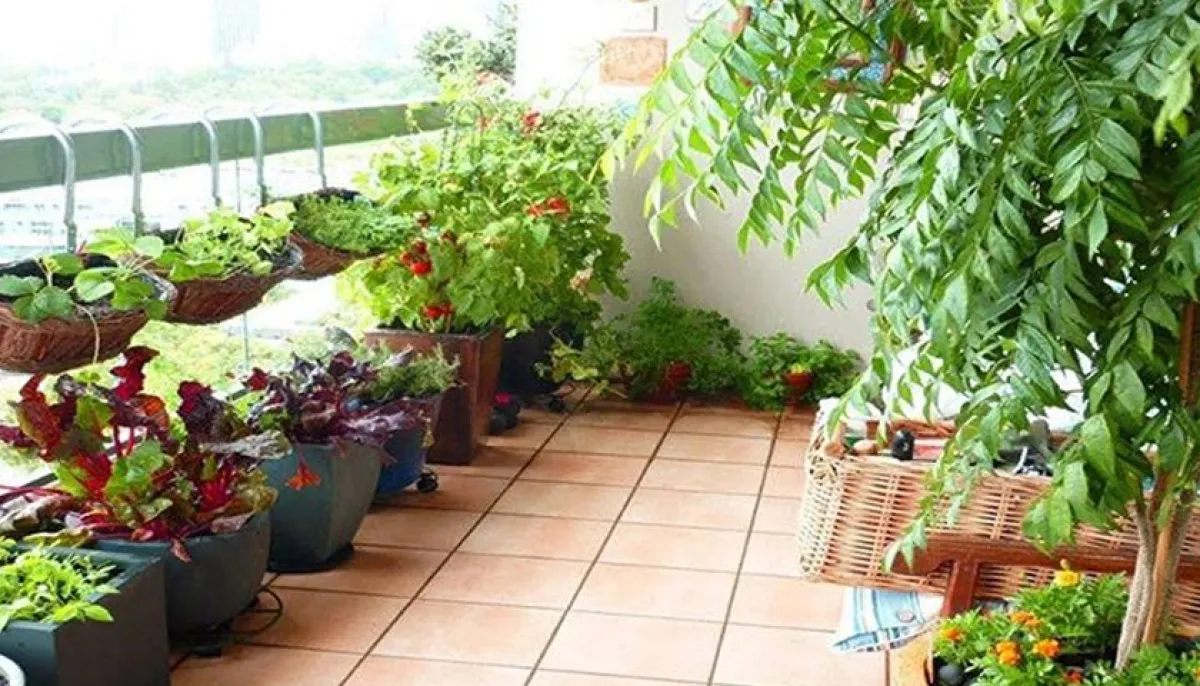 What to do to keep the garden green and beautiful