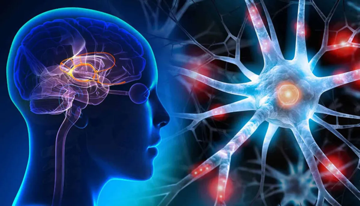 What to do to maintain memory