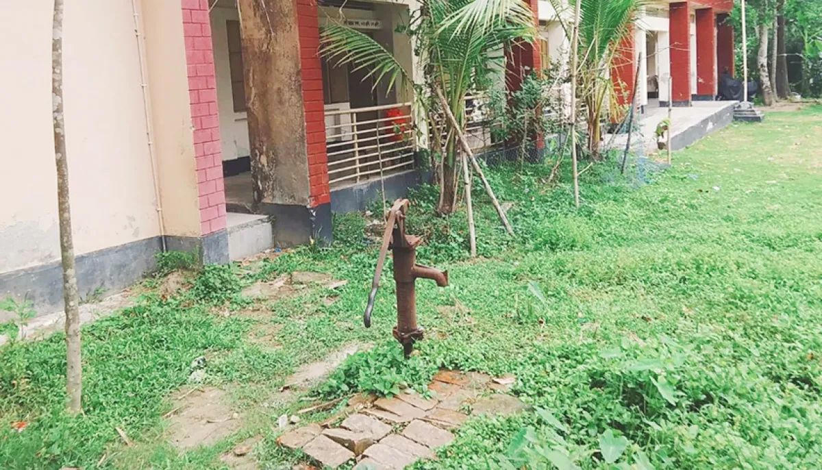 ছবি : দৈনিক শিক্ষাডটকম