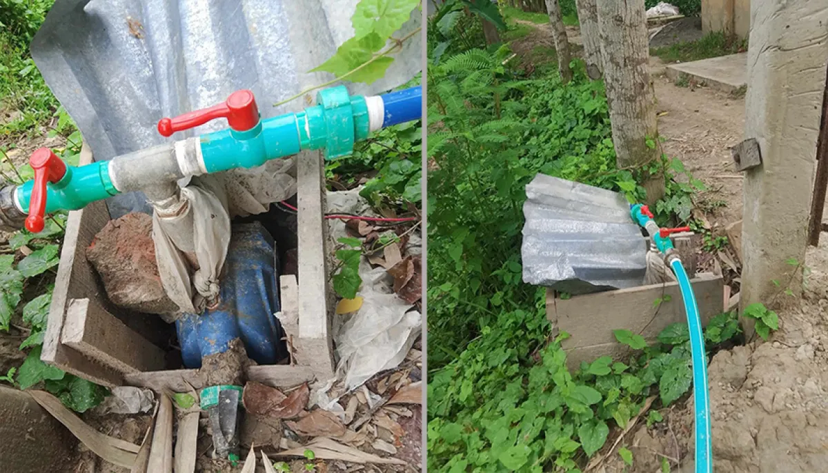 ছবি : দৈনিক শিক্ষাডটকম