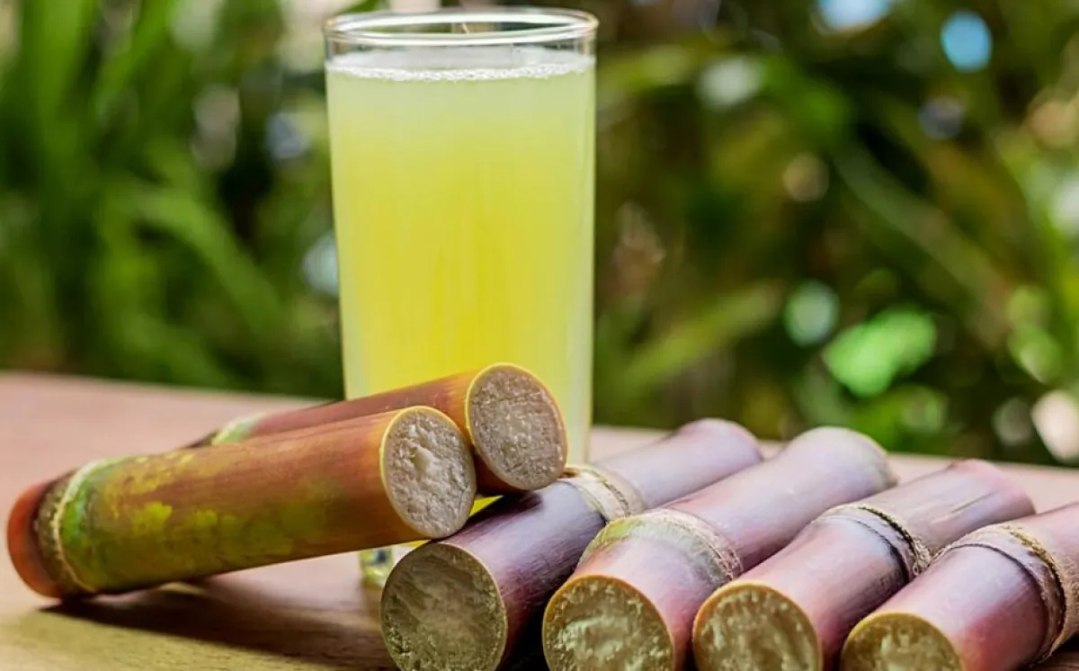 What happens if you drink too much sugarcane juice