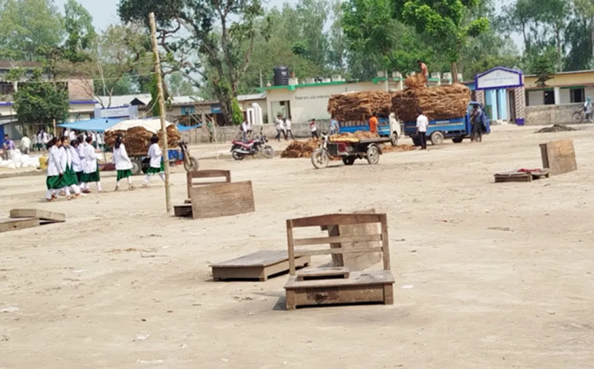 Cattle market occupies school grounds spoiling educational environment