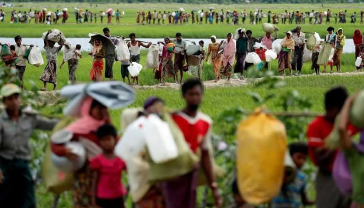 Junta government rejects jamaat rohingya state proposal