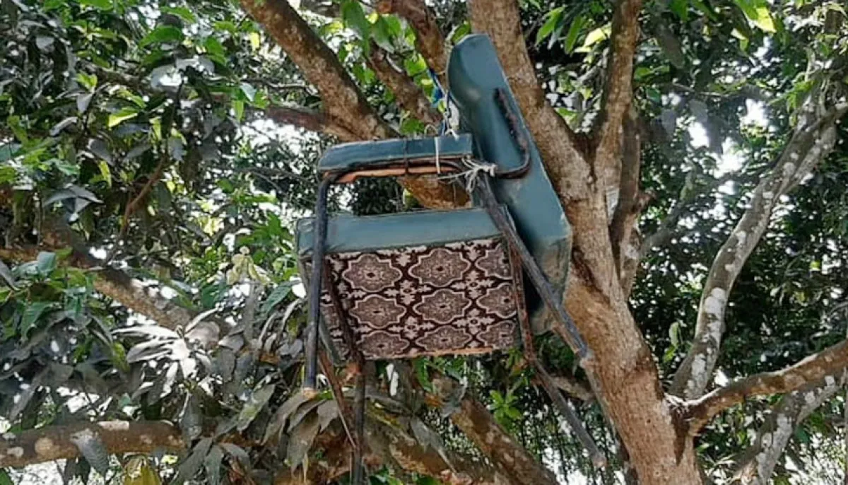 ছবি : সংগৃহীত