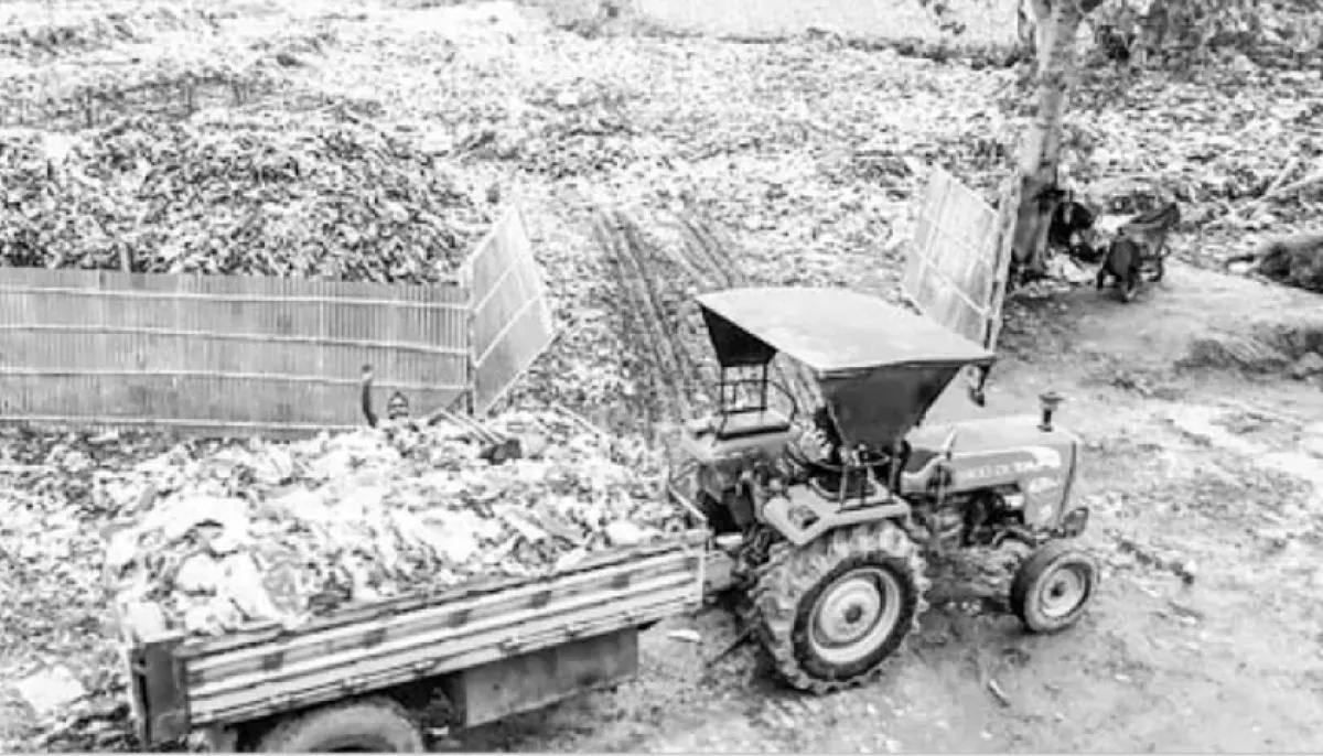 Garbage dump next to school children at risk of health