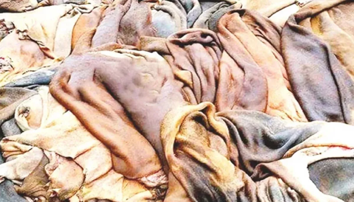 Many madrasas in trouble over leather prices