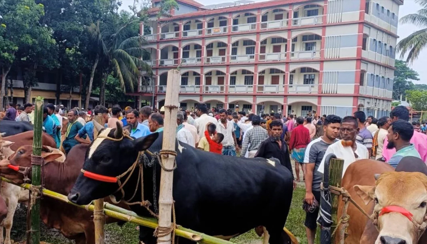 ম্যাজিস্ট্রেটকে ‘ফ্যাসিস্টের দোসর’ বলে হেনস্তার অভিযোগ যুবদল নেতার বিরুদ্ধে | বিবিধ নিউজ 