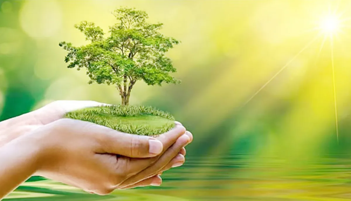 Call for applications from educational institutions for climate awareness grants