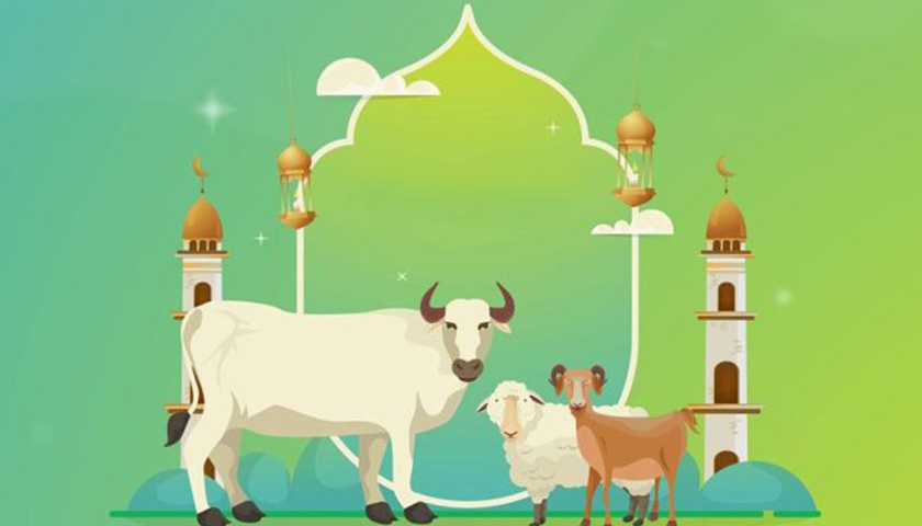 কোরবানি সম্পর্কে যা জানা জরুরি | মতামত নিউজ 