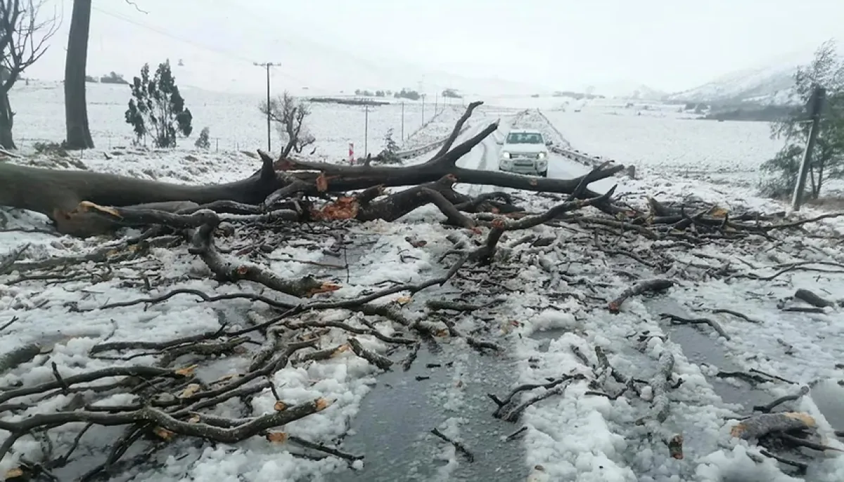 At least seven people have died in flooding in south africa