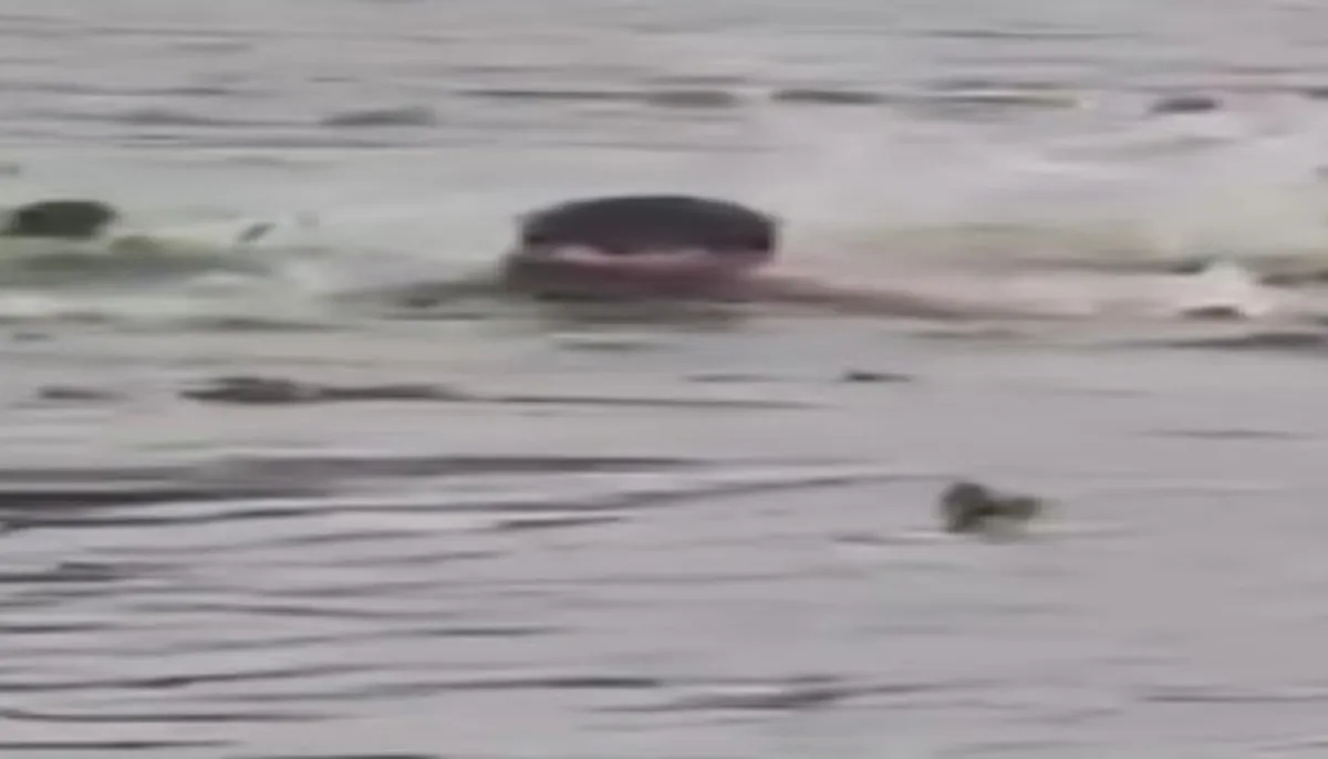 Elder brother swept away by current in balu river video captured by younger brother