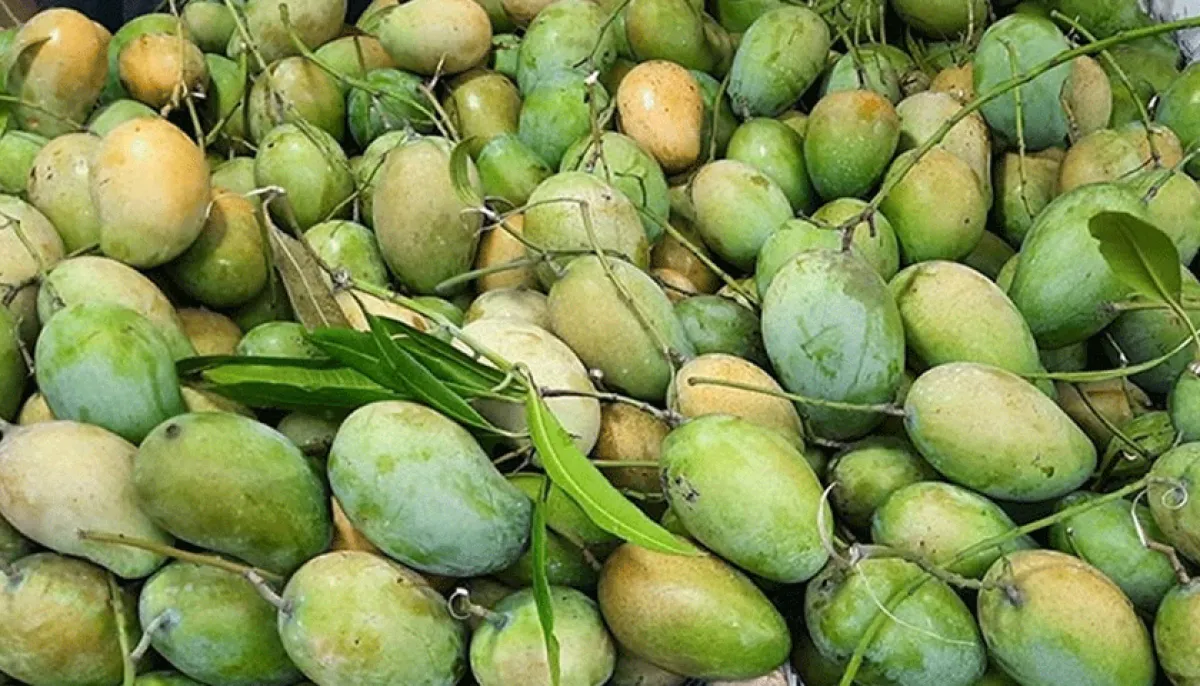 The surprising health benefits of mangoes says nutritionist