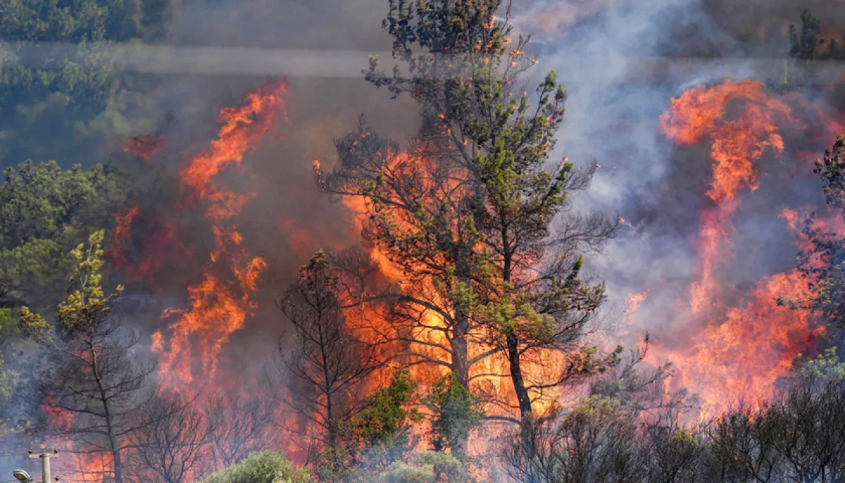 Turkiye is burning in wildfires