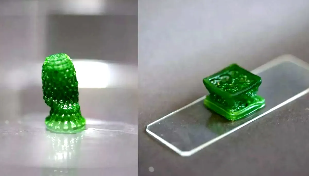 New living material developed to absorb co2