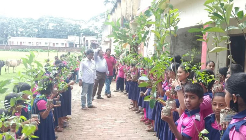 ফলদ গাছের চারা পেলেন কাউখালীর শিক্ষার্থীরা | স্কুল নিউজ 