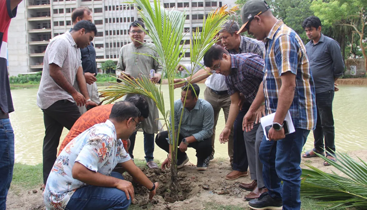Month long tree plantation program inaugurated at nazrul university