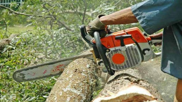 অধ্যক্ষকে হত্যার হুমকি : যুবলীগ নেতার বিরুদ্ধে থানায় অভিযোগ | বিবিধ নিউজ 