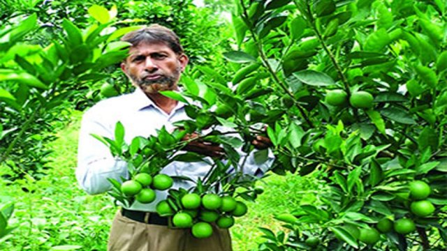 নির্দেশনা অমান্য করে শিক্ষার্থীদের থেকে অর্থ আদায় চলছেই | স্কুল নিউজ 