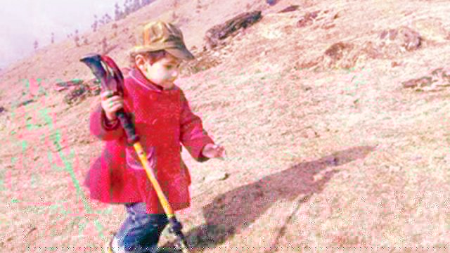 মুক্ত গণমাধ্যম দিবস এবং আমাদের সাংবাদিকতা | মতামত নিউজ 