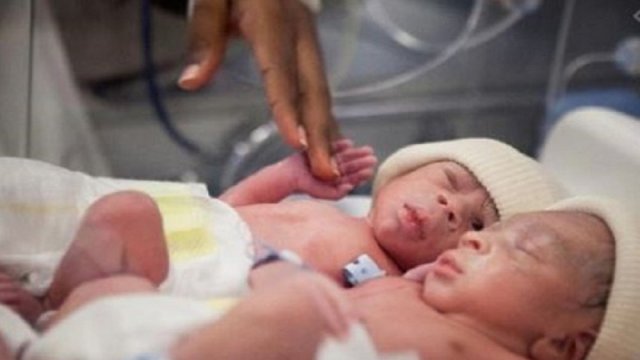 ১১৫৬ জাল শিক্ষকের তালিকা প্রকাশ করবে আমাদের বার্তা | মেডিক্যাল নিউজ 