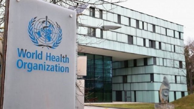 US tol halt funding to WHO over coronavirus | Miscellaneous News 