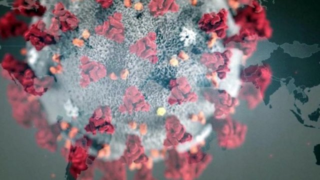 Mouthwash could protect against COVID-19 | Miscellaneous News 