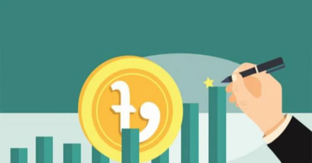 What is the budget and how is it paid