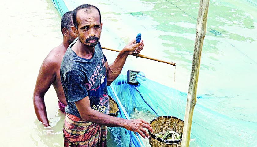 ৩ মাসের এমপিও হারালেন আরও ৫ প্রতিষ্ঠান প্রধান | এমপিও নিউজ 