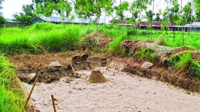 কলেজের মাটি দিয়ে নিজের জমি ভরাট করলেন অধ্যক্ষ | কলেজ নিউজ 