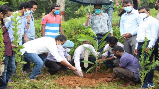 বঙ্গবন্ধুর জন্মশতবার্ষিকী উপলক্ষে কুবি ছাত্রলীগের বৃক্ষরোপণ | ছাত্র-শিক্ষক রাজনীতি নিউজ 