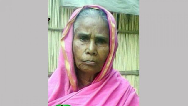 বীর মুক্তিযোদ্ধা ভানু নেছা আর নেই | বিবিধ নিউজ 