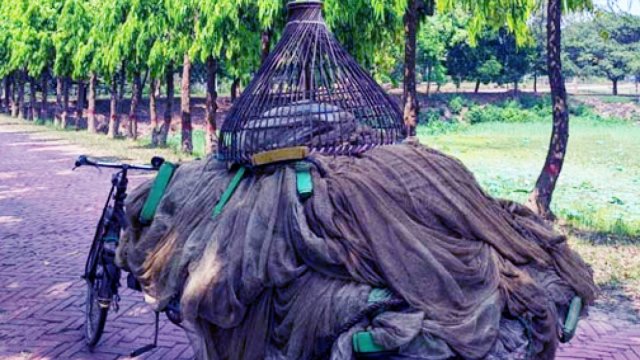 জাবি ক্যাম্পাসের লেকে মাছ ধরতে গিয়ে আটক ১০ 